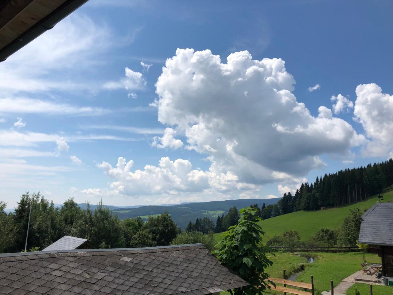 Vila Waldheimathuette Sankt Kathrein am Hauenstein Exteriér fotografie