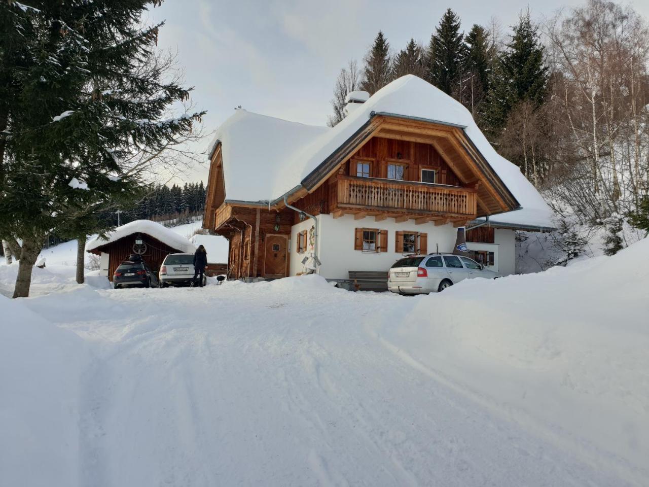 Vila Waldheimathuette Sankt Kathrein am Hauenstein Exteriér fotografie