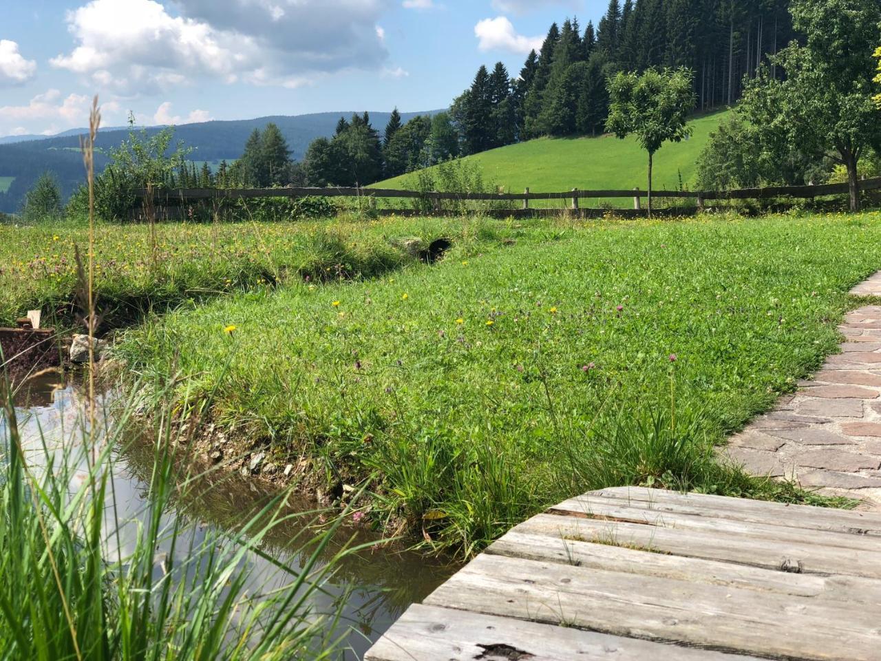 Vila Waldheimathuette Sankt Kathrein am Hauenstein Exteriér fotografie