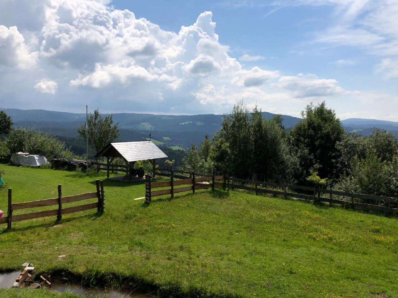Vila Waldheimathuette Sankt Kathrein am Hauenstein Exteriér fotografie