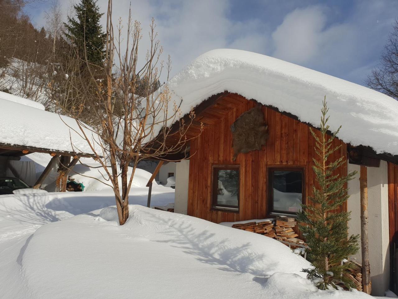 Vila Waldheimathuette Sankt Kathrein am Hauenstein Exteriér fotografie