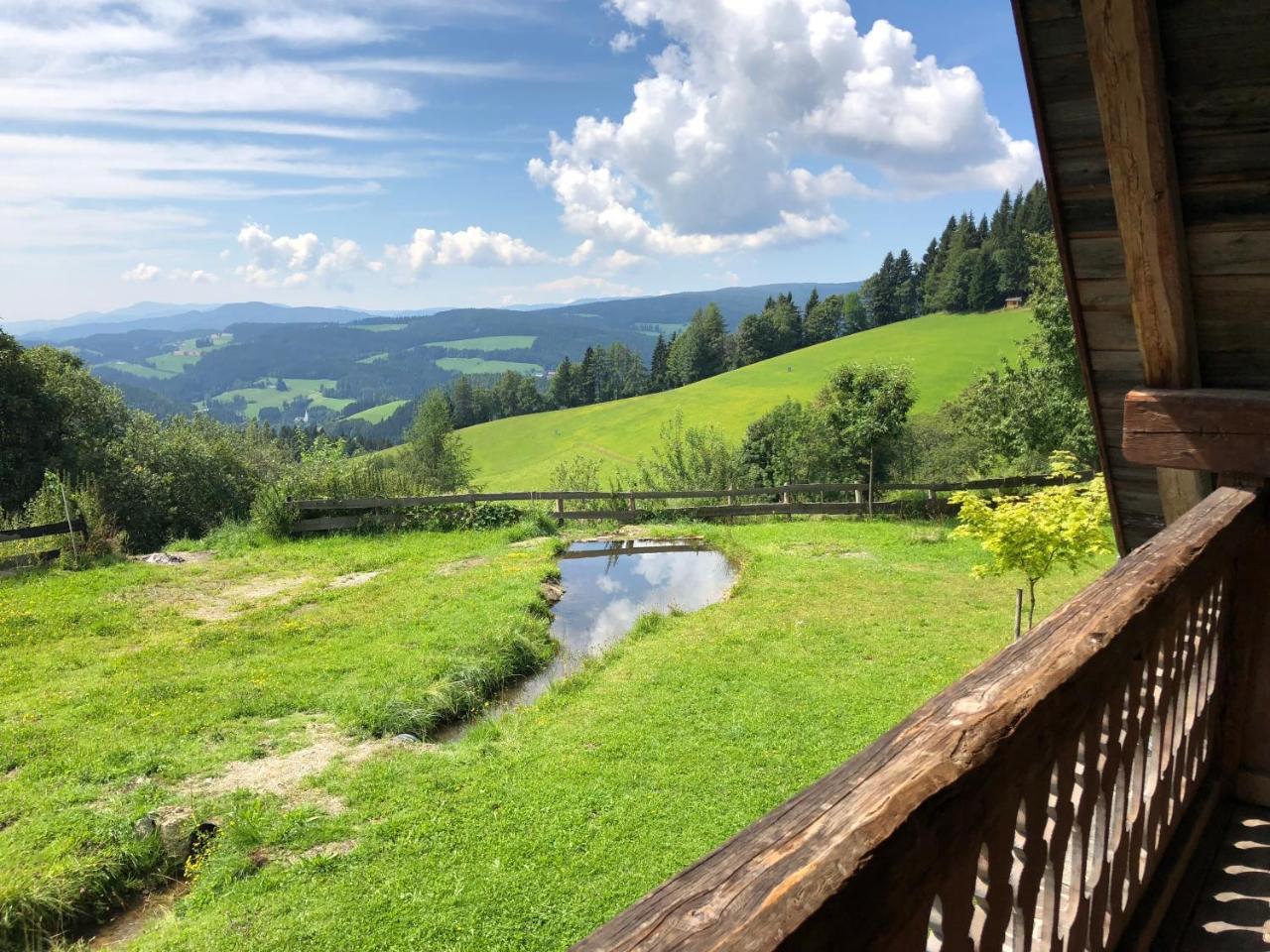 Vila Waldheimathuette Sankt Kathrein am Hauenstein Exteriér fotografie
