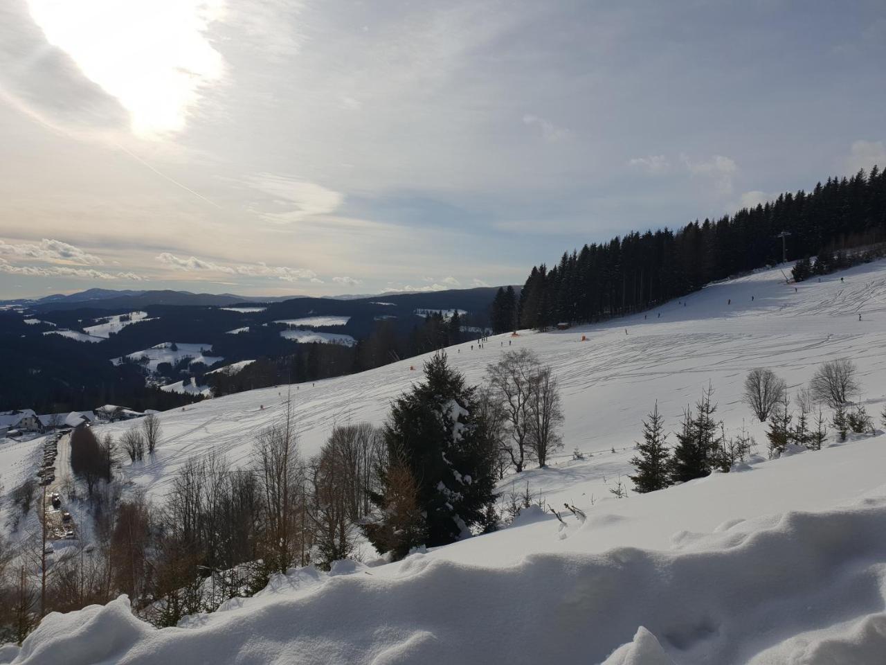 Vila Waldheimathuette Sankt Kathrein am Hauenstein Exteriér fotografie