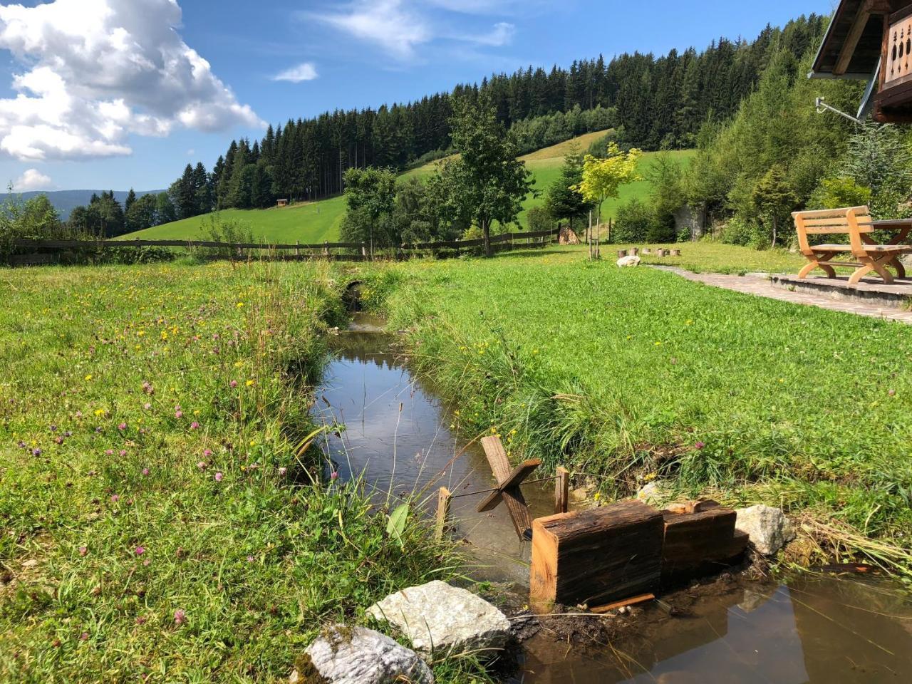 Vila Waldheimathuette Sankt Kathrein am Hauenstein Exteriér fotografie