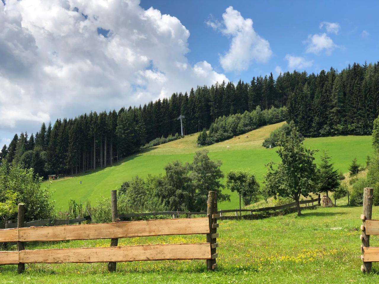 Vila Waldheimathuette Sankt Kathrein am Hauenstein Exteriér fotografie